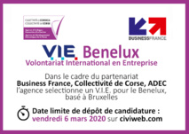 OFFRE DE MISSION 🌍[V.I.E Benelux] basé à Bruxelles ⏰Candidatez jusqu'au 6 mars