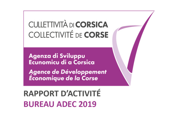 📈RAPPORT D’ACTIVITÉ [BUREAU ADEC 2019]