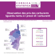 Observation des prix des carburants - Novembre 20