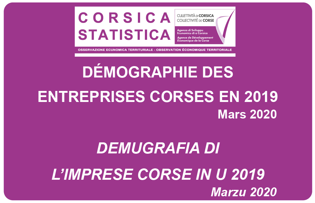 Démographie des entreprises corses en 2019
