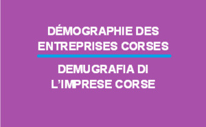 Démographie des entreprises Corses en 2016
