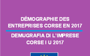 Démographie des entreprises corses en 2017