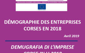 Démographie des entreprises corses en 2018