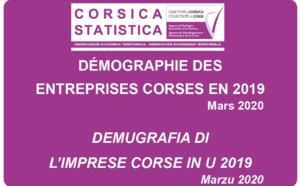 Démographie des entreprises corses en 2019