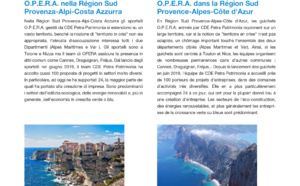 [Newsletter#6] 📑O.P.E.R.A. (Organizzare e Promuovere le Energie per il Rilancio della Attività)