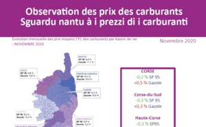 Observation des prix des carburants - Novembre 20