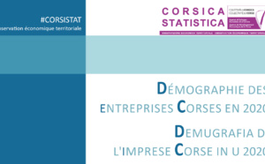 Démographie des entreprises corses en 2020