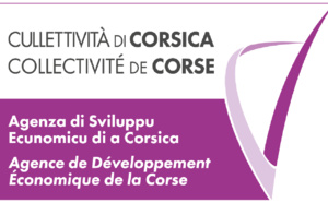 📢ADEC Appel à Manifestation d’Intérêt [Dispositif CREA’IMPRESE] ⚠️prolongation 15 Octobre 2021 🎯Sélectionner des opérateurs qui accompagneront les personnes éloignées de l’emploi dans leur projet de création ou reprise d’entreprise en Corse