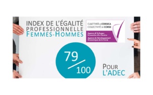 📈INDEX DE L’ÉGALITÉ PROFESSIONNELLE FEMMES-HOMMES : 79/100 POUR L'ADEC