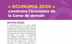 Schéma Régional de Développement Economique d’Innovation et d’Internationalisation (SRDEII)