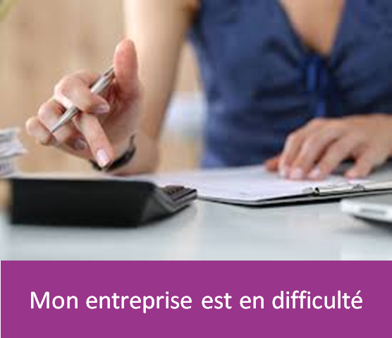 Mon-entreprise-rencontre-des-difficultes_a315.html